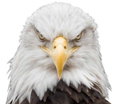 plumber in baldwin park, CA